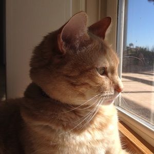 Meet your Posher, Teresa